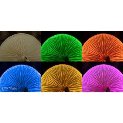 PAVOTUBE II 6C CON BATERÍA NANLITE - NA152017