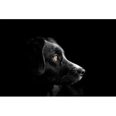 FONDO PAPEL MANFROTTO  SÚPER NEGRO 2,75 X 11 M.- LLLP9020