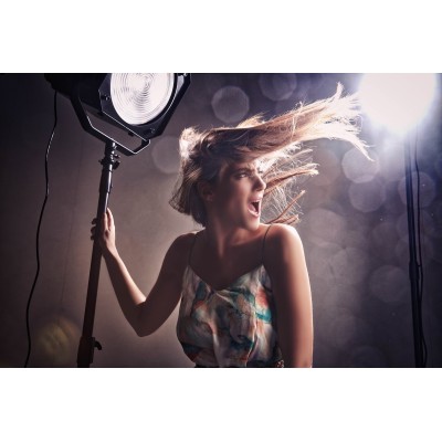 LENTE FRESNEL SPOT FS30 ELINCHROM - EL26451
