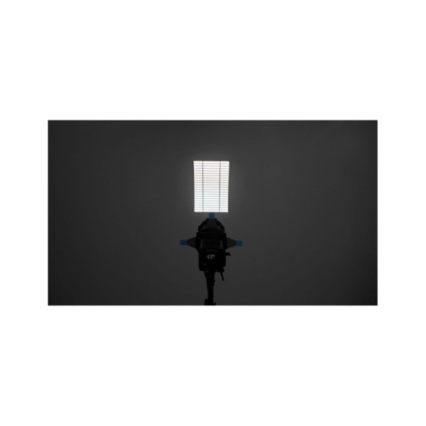 ACCESORIO DE PROYECCIÓN PARA FORZA 60/ 60B NANLITE - NAPJFMM19