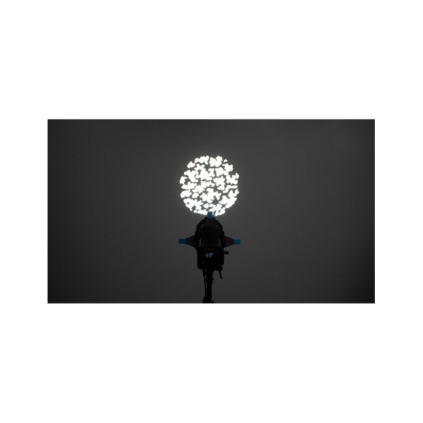 ACCESORIO DE PROYECCIÓN PARA FORZA 60/ 60B NANLITE - NAPJFMM19