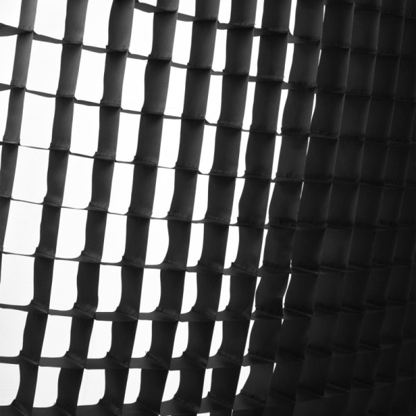 PROFOTO SOFTGRID RFI RECTANGULAR 50º 60x90 CM - 254622