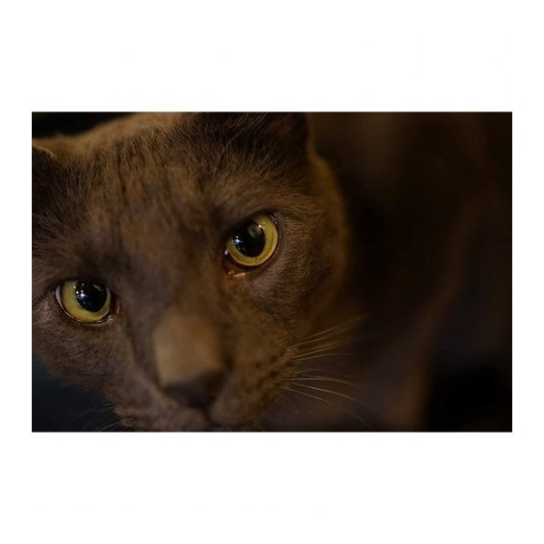 OBJETIVO FE 35MM F1.8 SONY- SEL35F18F