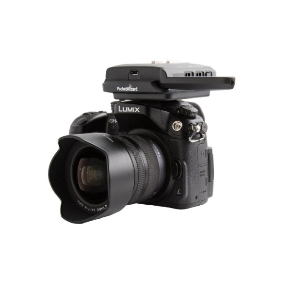 TRANSCEPTOR FLEX TT5 PARA PANASONIC POCKETWIZARD - PWFLEXPCE